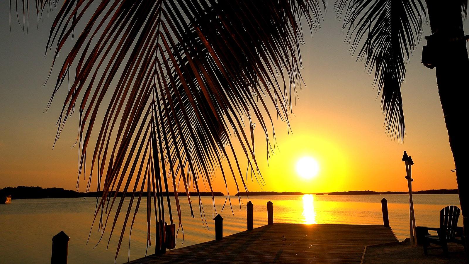 Islamorada sunset on Florida Bay, framed by the silhouette of a palm tree