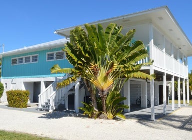 Blue beach home with large palm outside