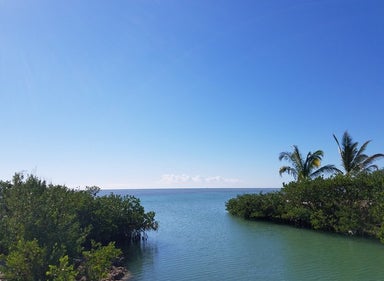 Lush river opening into ocean in Craig Key