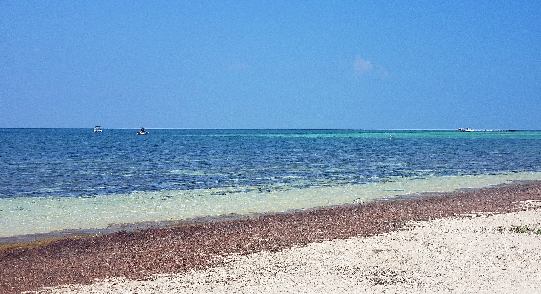 The picture shows the Florida Keys ocean on a sunny day, light teal colored water with bright blue skies 