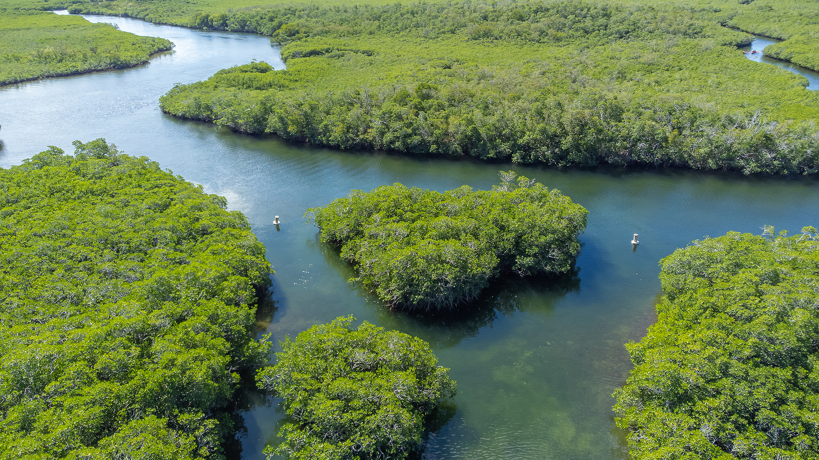 Aerial view of Key Largo waterways and creeks, accessible by boat